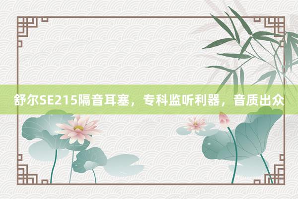 舒尔SE215隔音耳塞，专科监听利器，音质出众